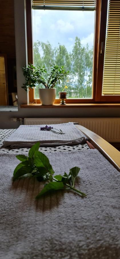Spacious House With Indoor Pool & Sauna. Ādaži Extérieur photo